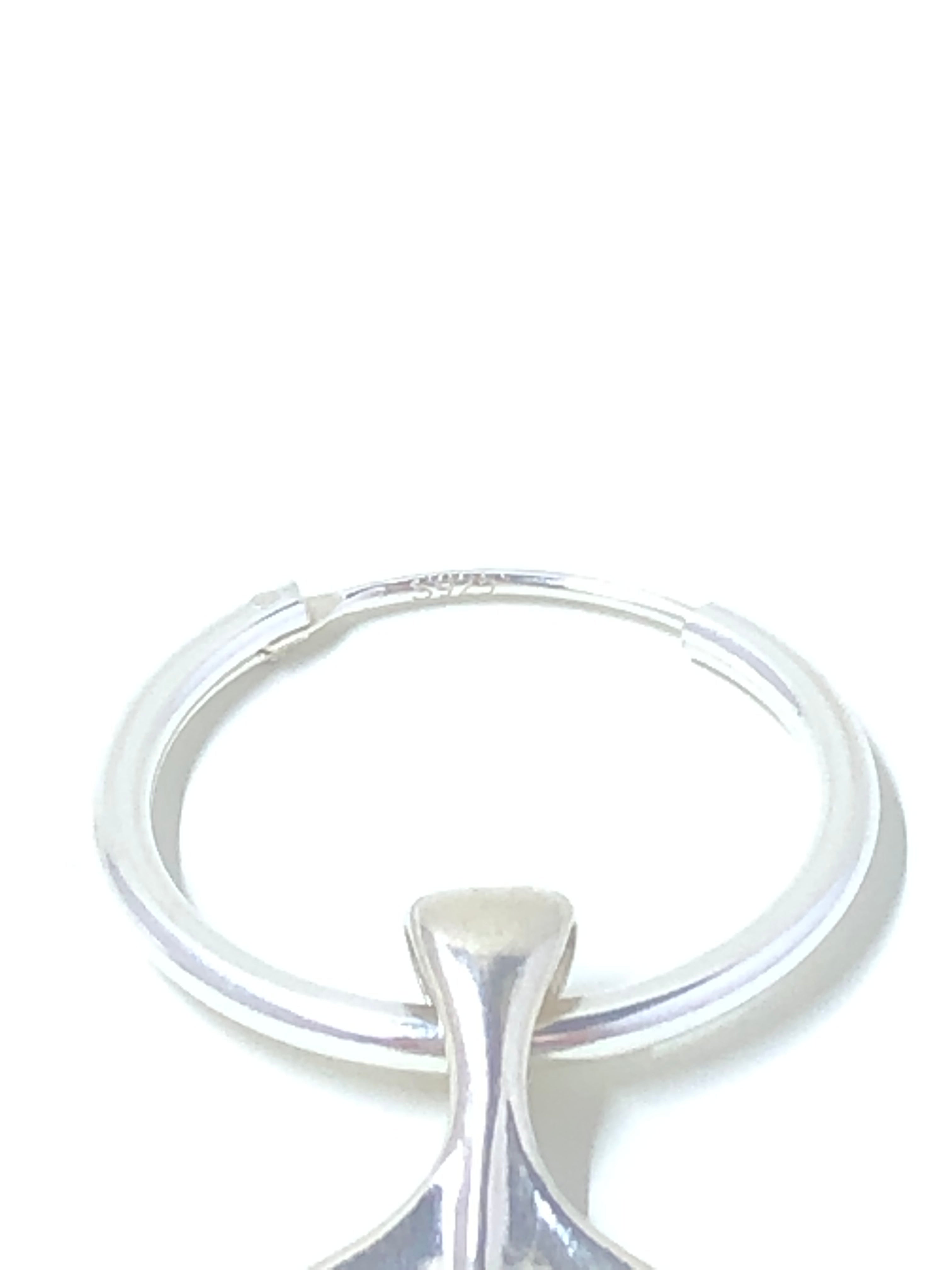 The Dolphin Tail Earrings