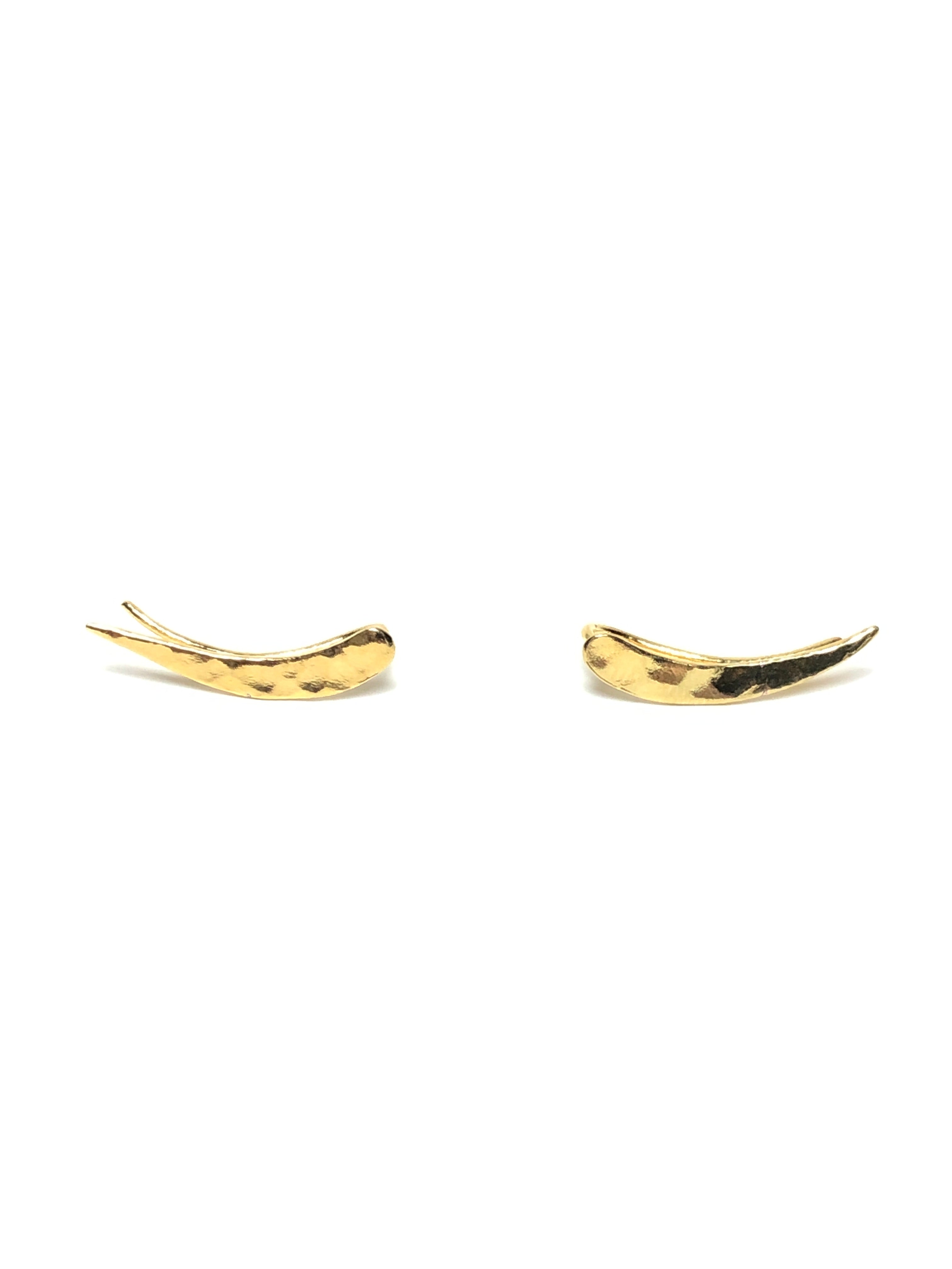 Golden Ear Climber