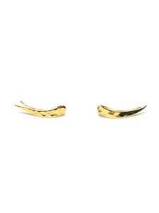 Golden Ear Climber