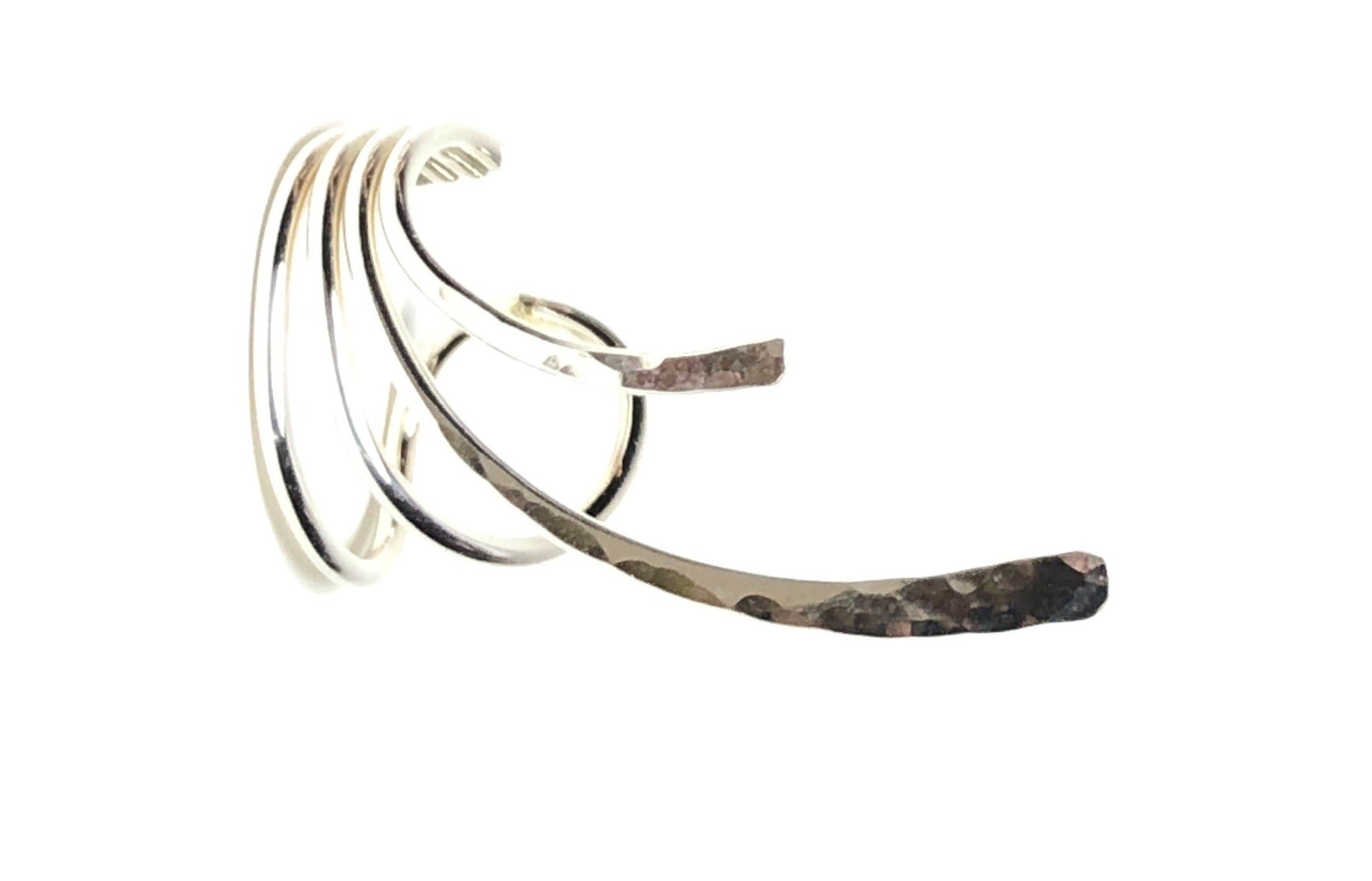 Silvered Ear Crawler