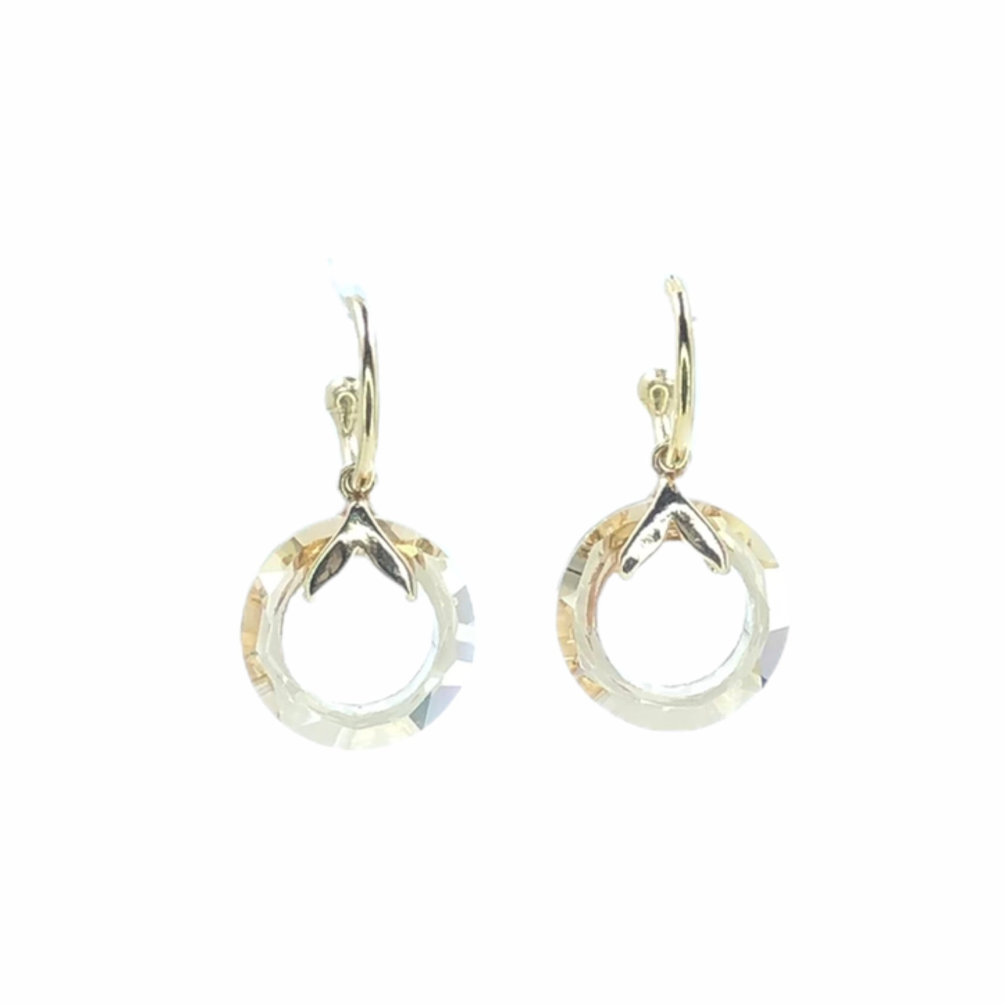 Golden Hues Earrings